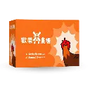 Frame 12.webp